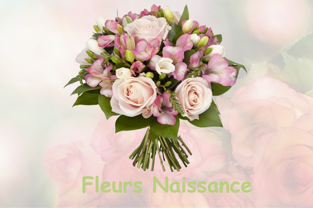 fleurs naissance REBIGUE