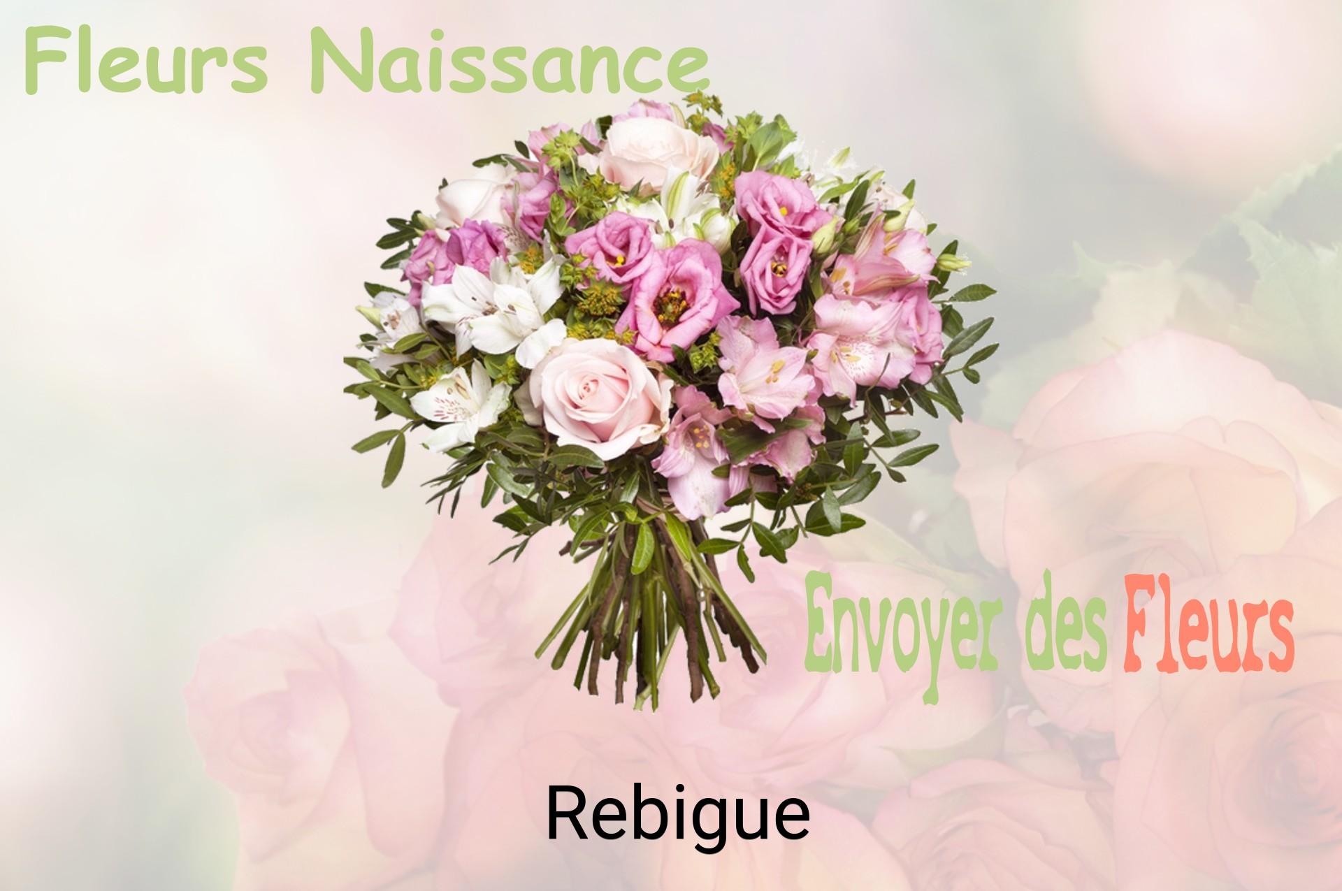 Bouquet de fleurs de naissance livré à Rebigue