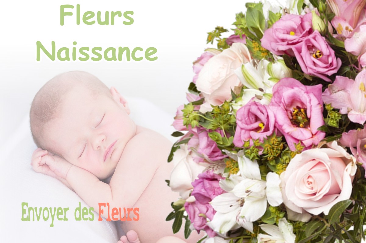 lIVRAISON FLEURS NAISSANCE à REBIGUE